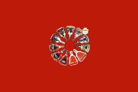 达州市渠县回收红酒